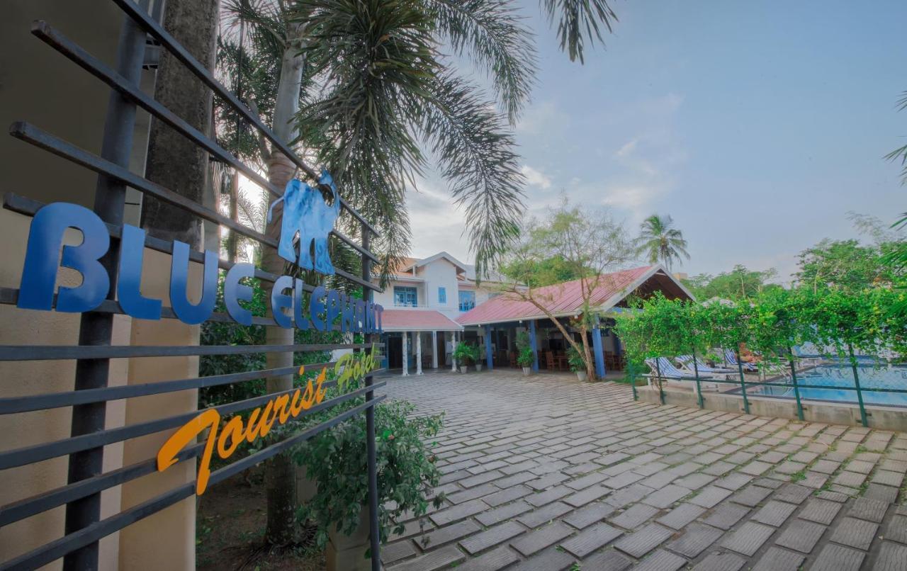 Blue Elephant Boutique Hotel Negombo Bagian luar foto